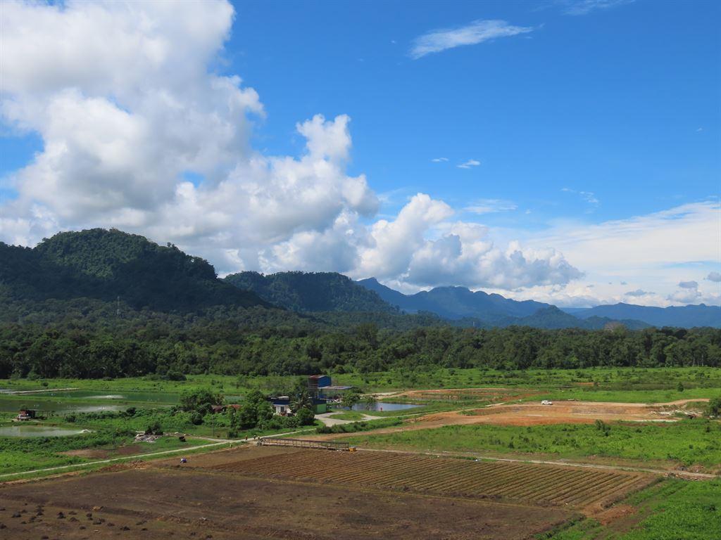 view