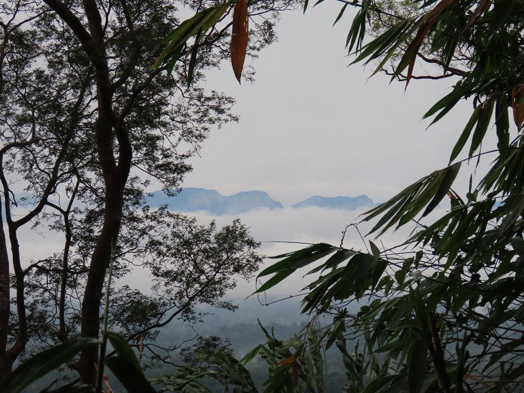 view1