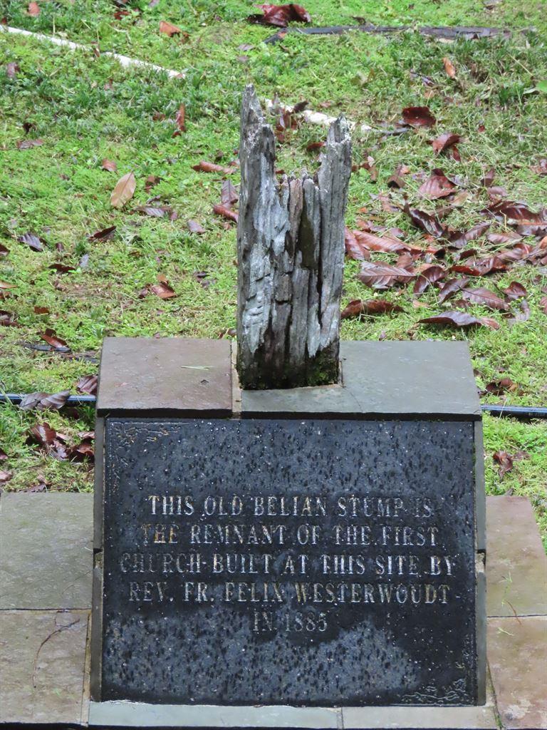 belianstump