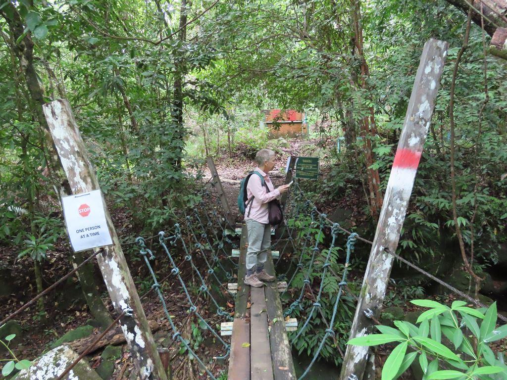 bridge2