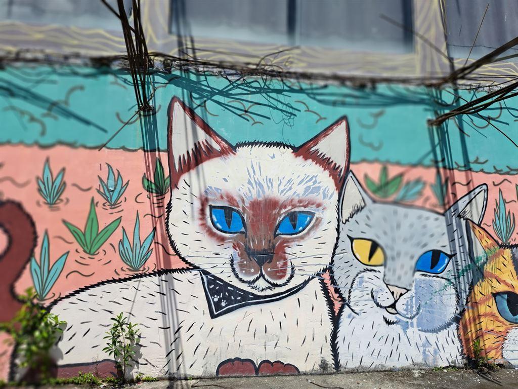 cats1