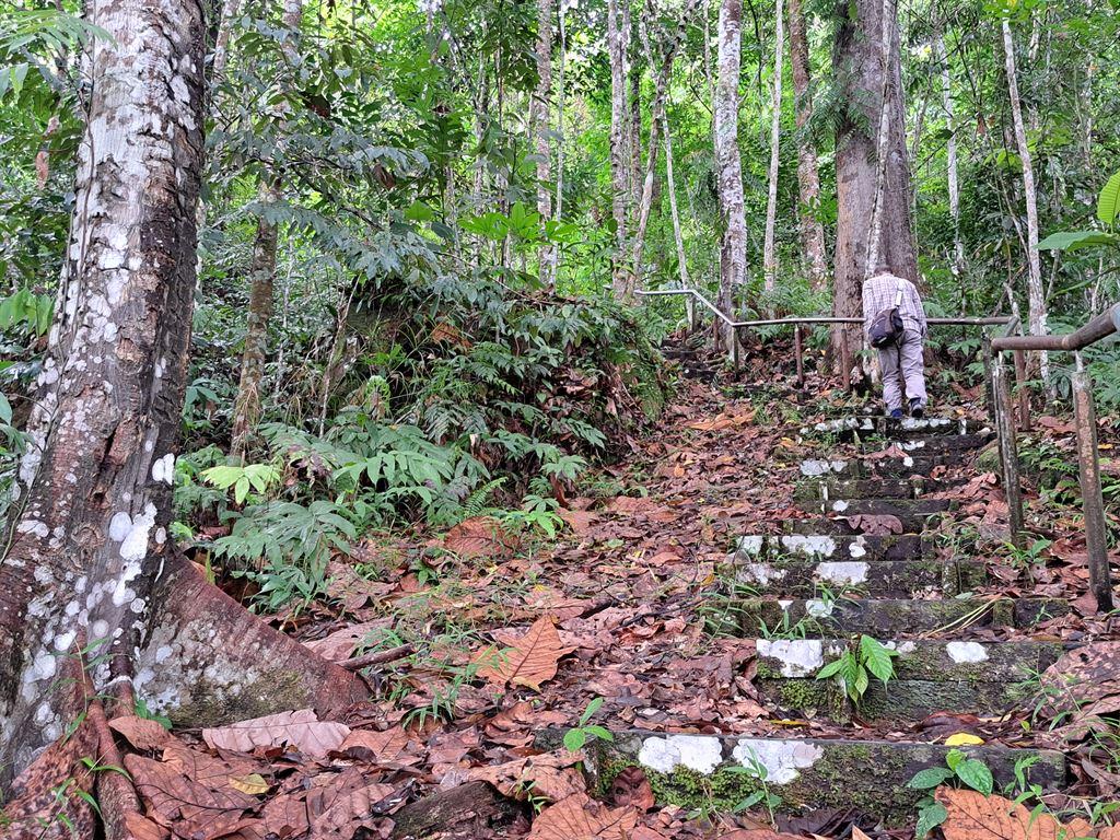 steps