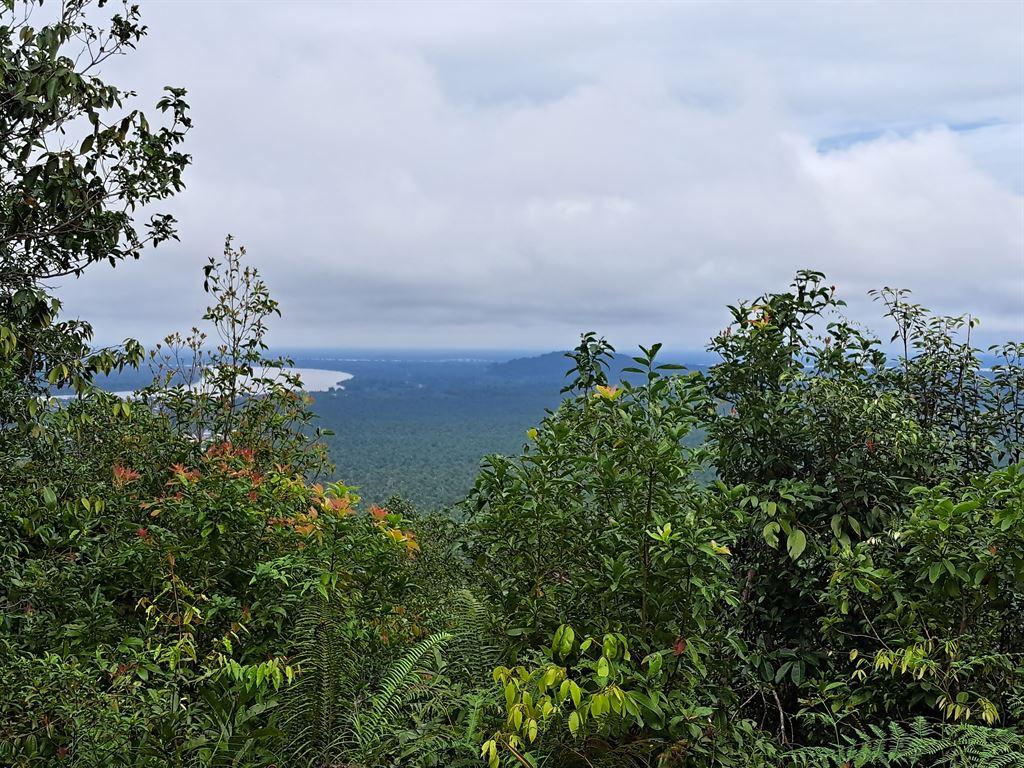 top