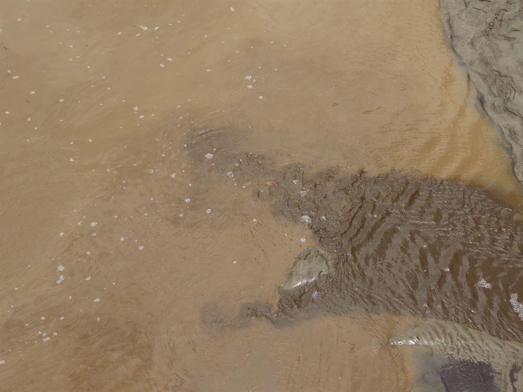 croc