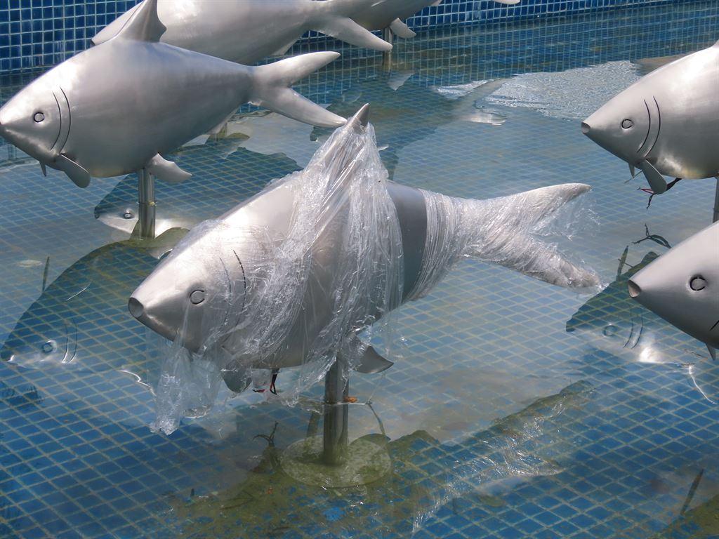 fish
