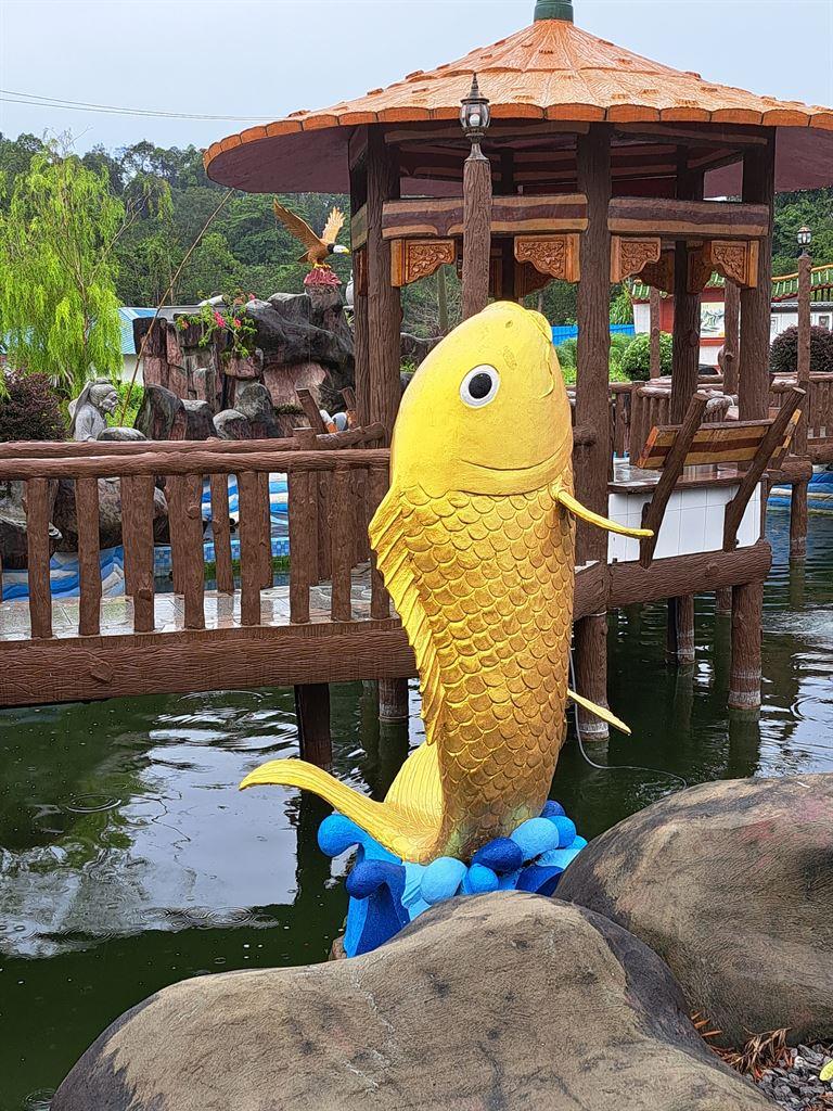 fish