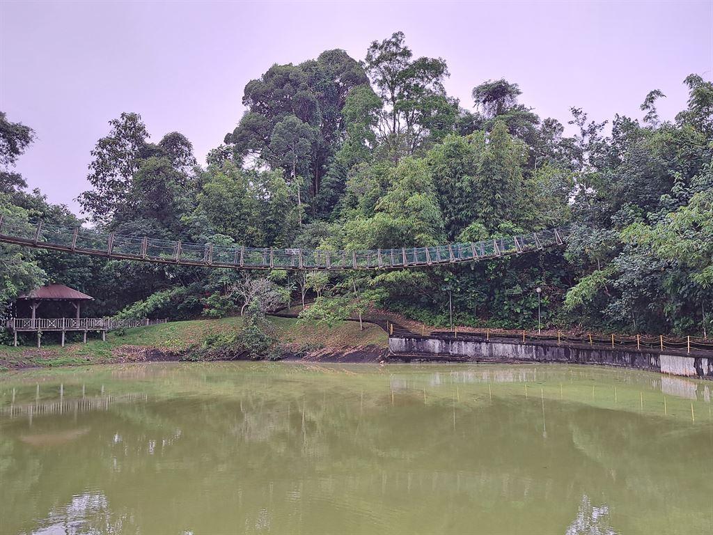 bridge