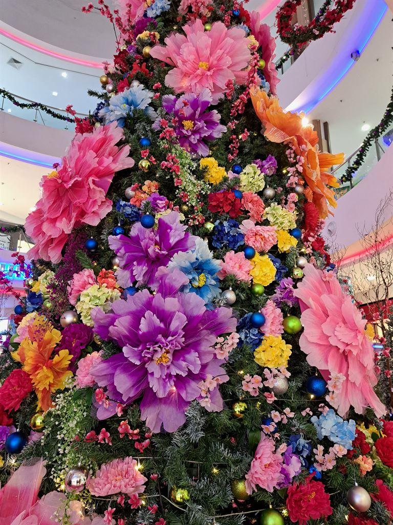 vivacitytree