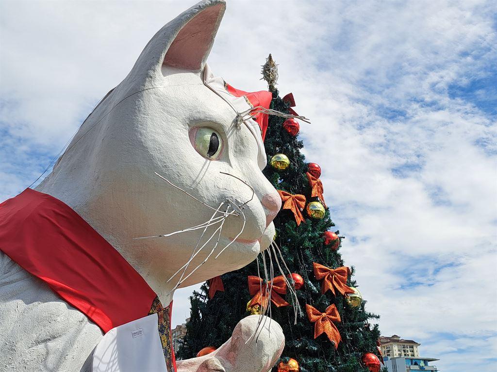 cat&tree