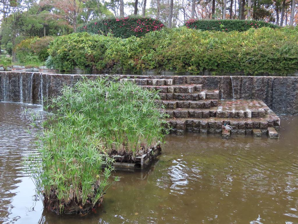 higashilake