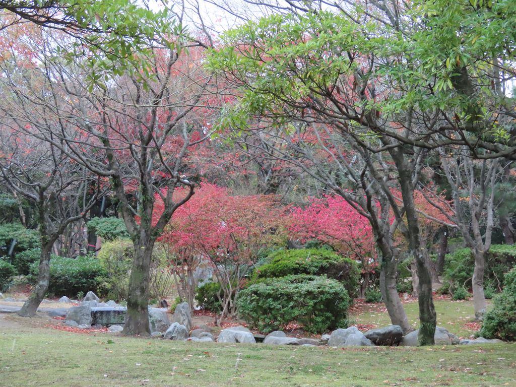 foliage