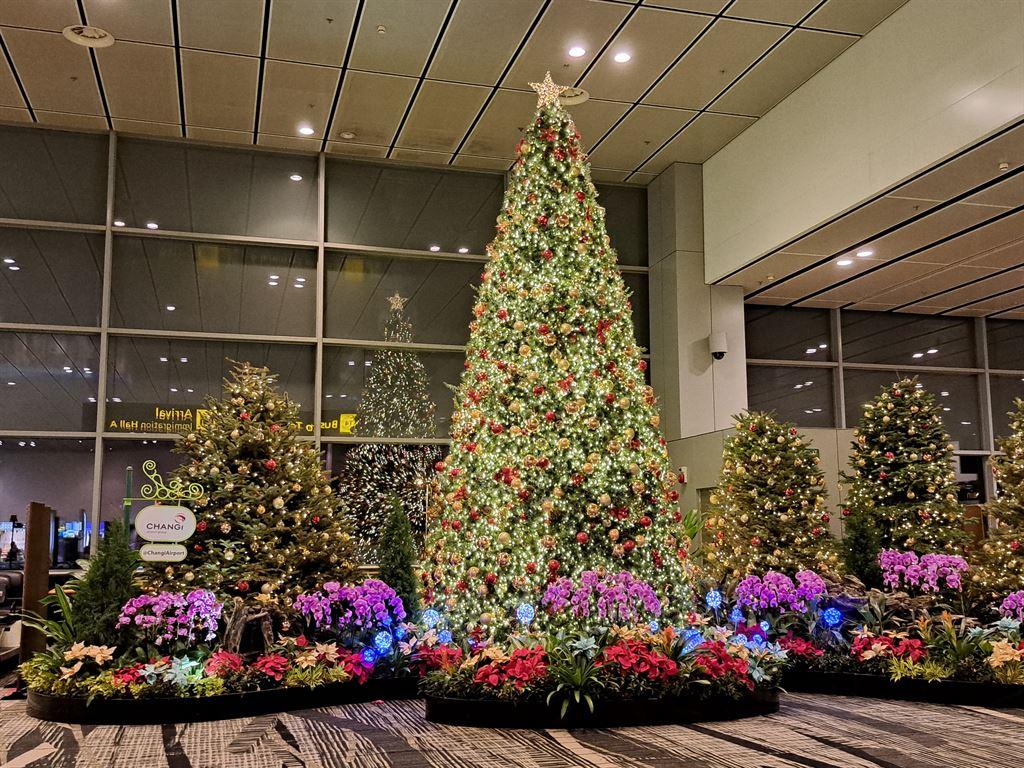 tree