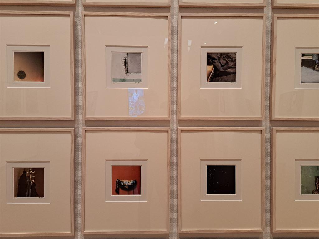 fragments