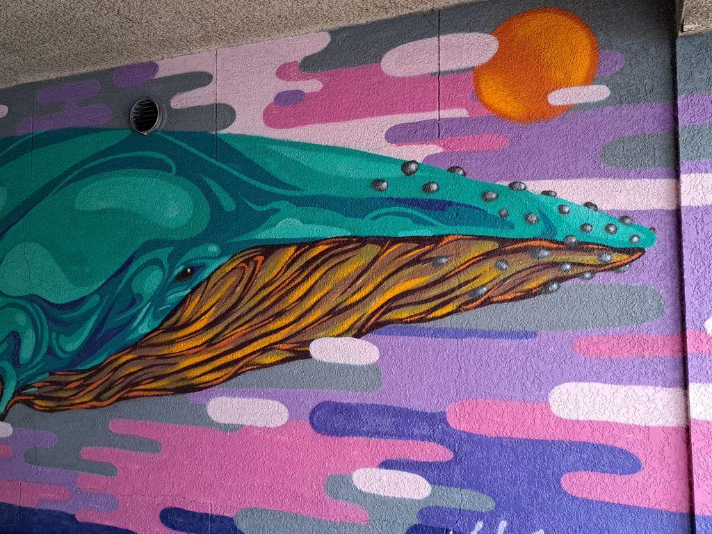 whale