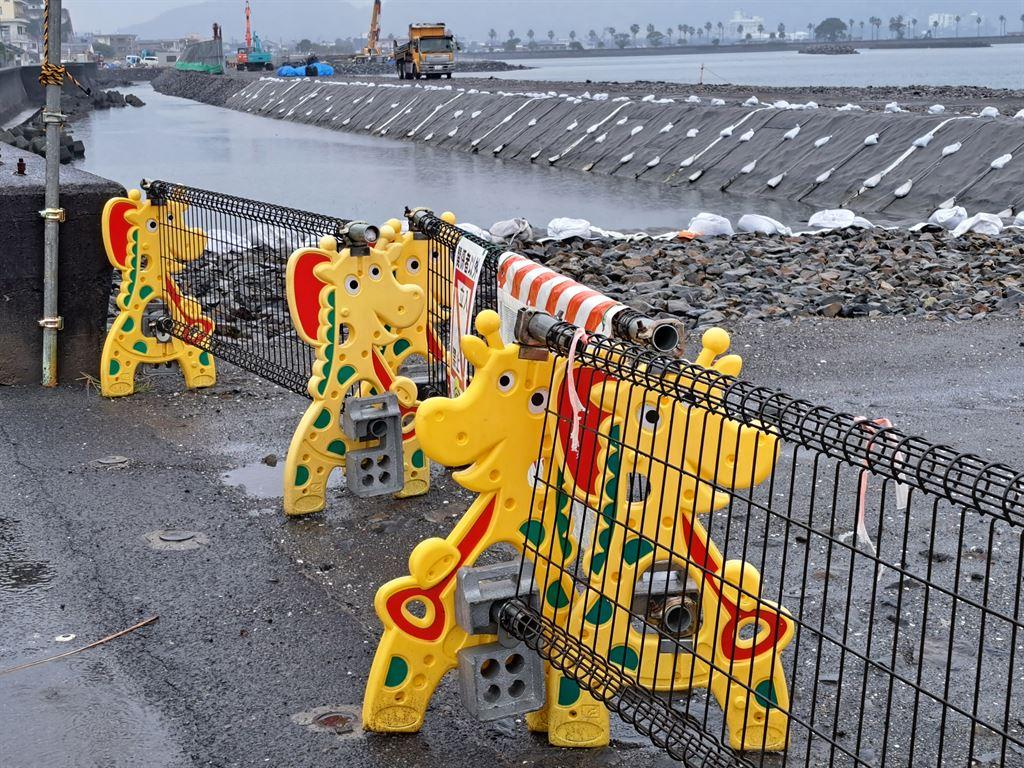 giraffes