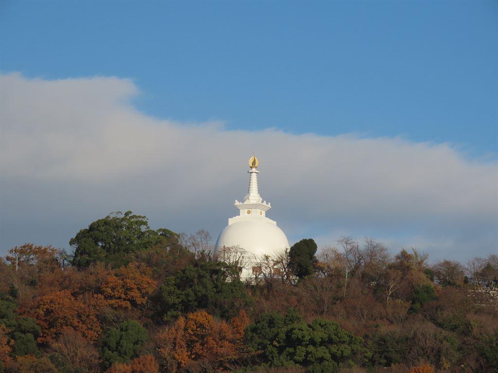 whitedome