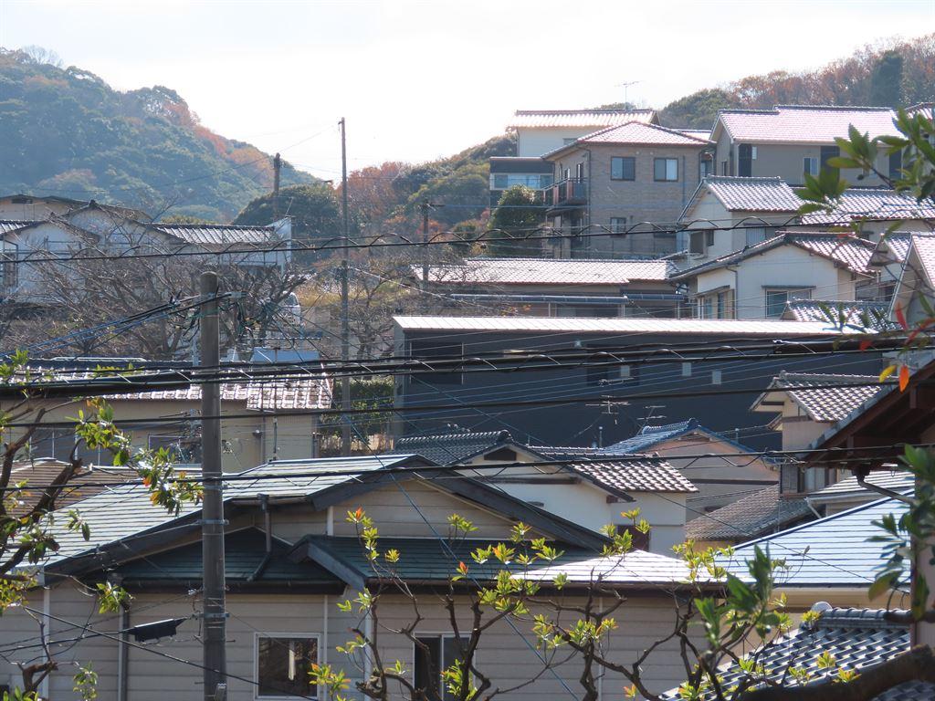 view