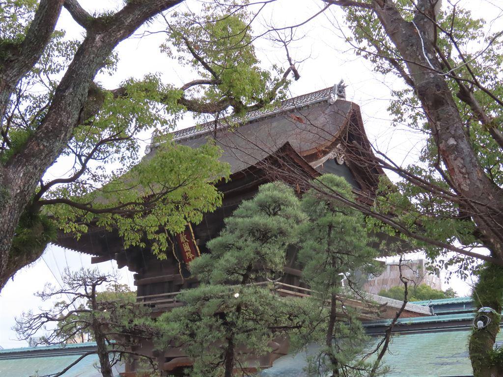 roofs