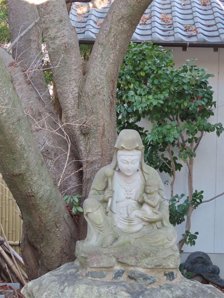 buddha&tree