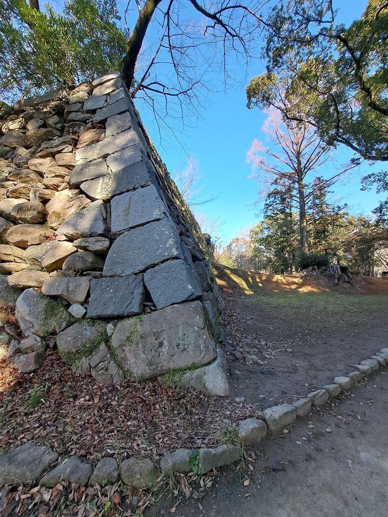 castle1