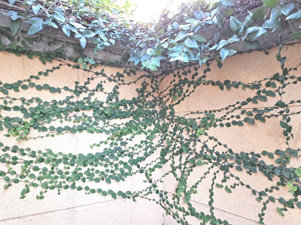 corner2