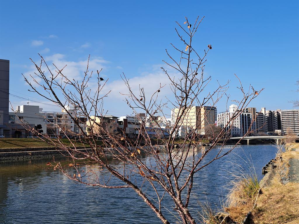river