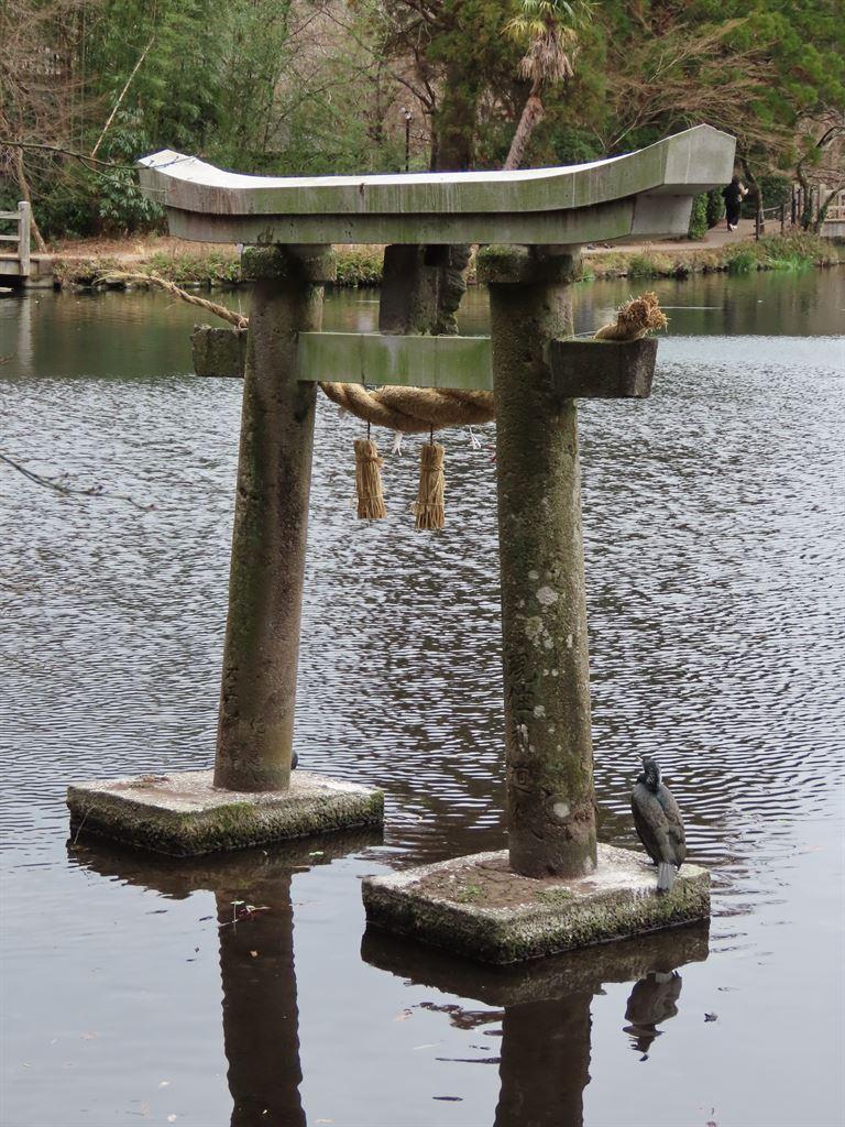 torii