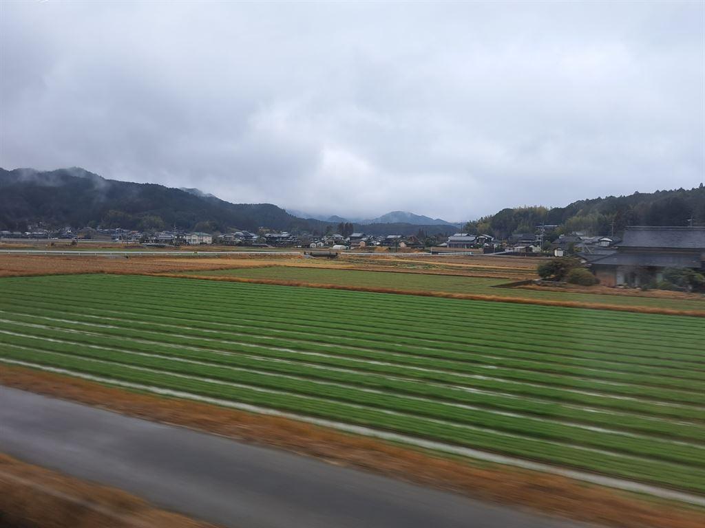field