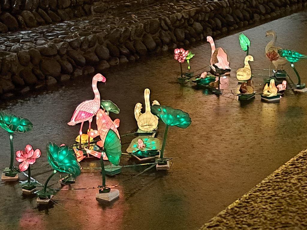 flamingoes