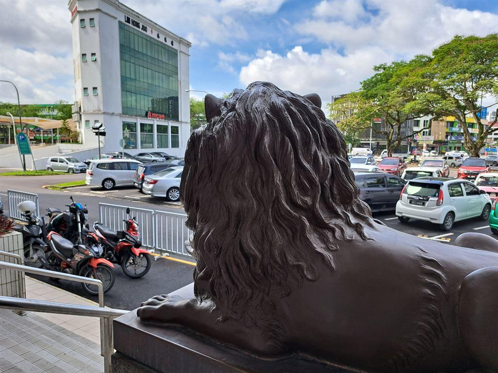 lion