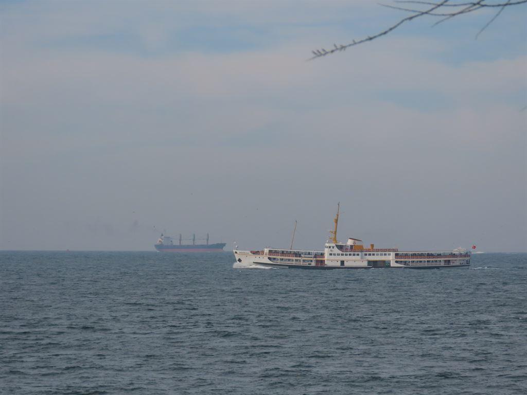 boats