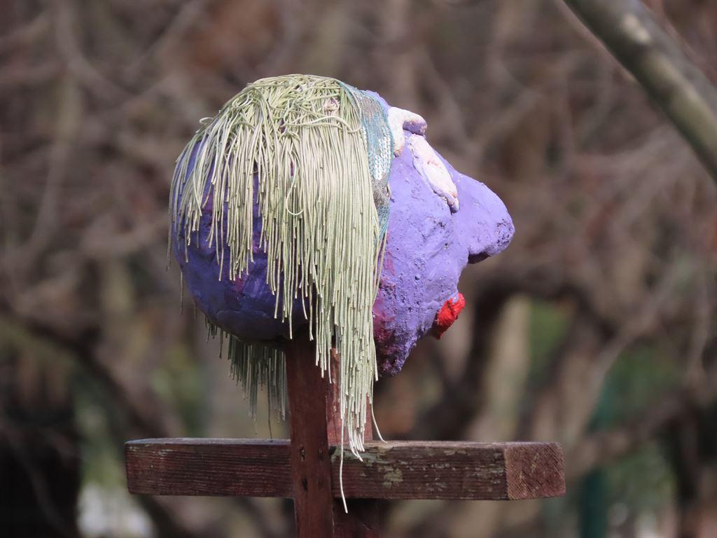 mophead