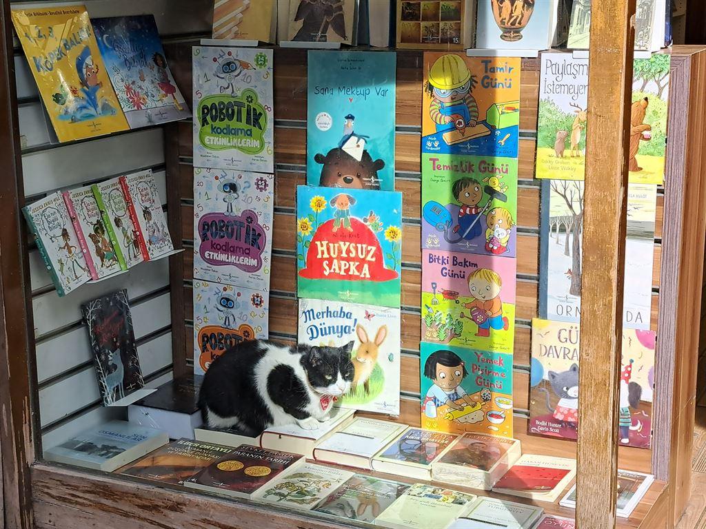 catonbooks