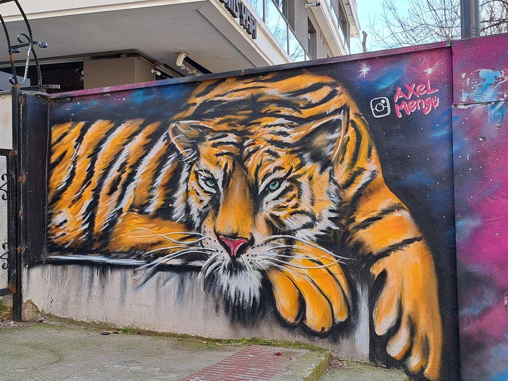 tiger