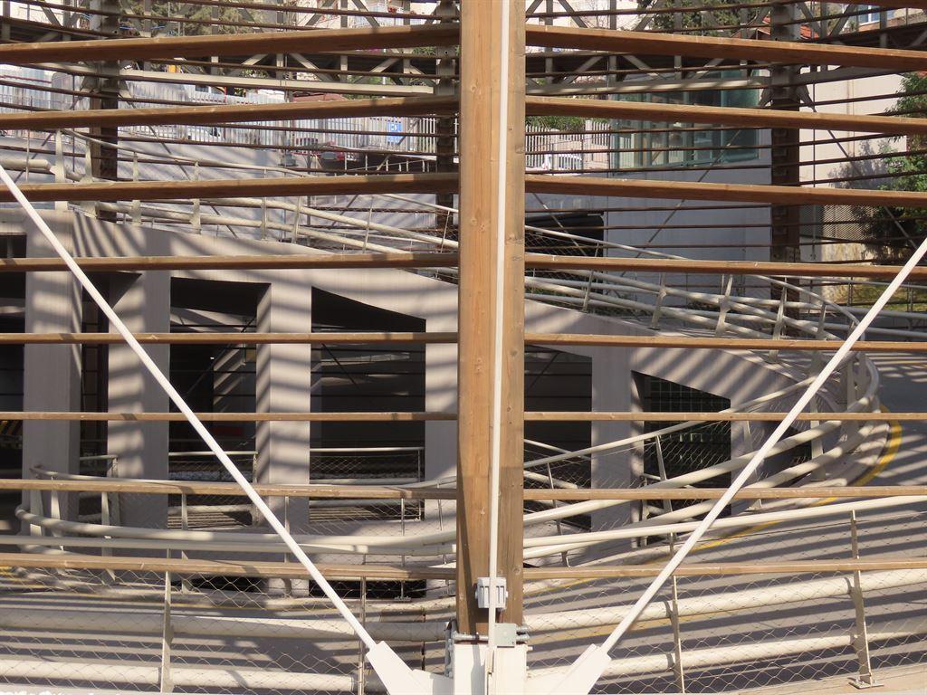lines