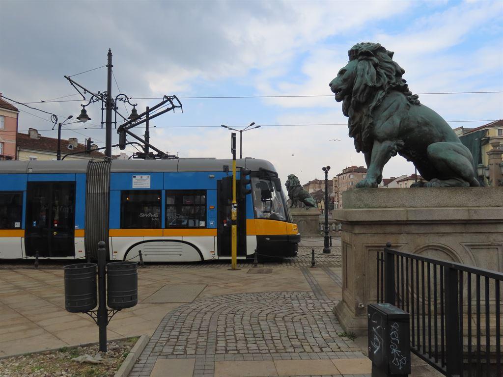 tram&lion