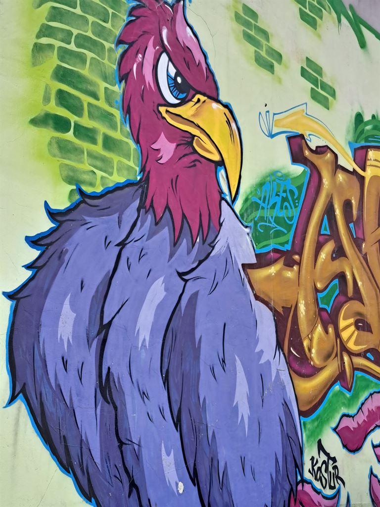 chicken