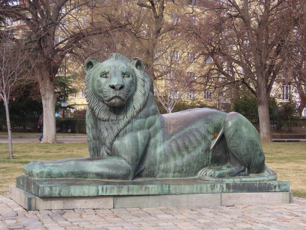 lion