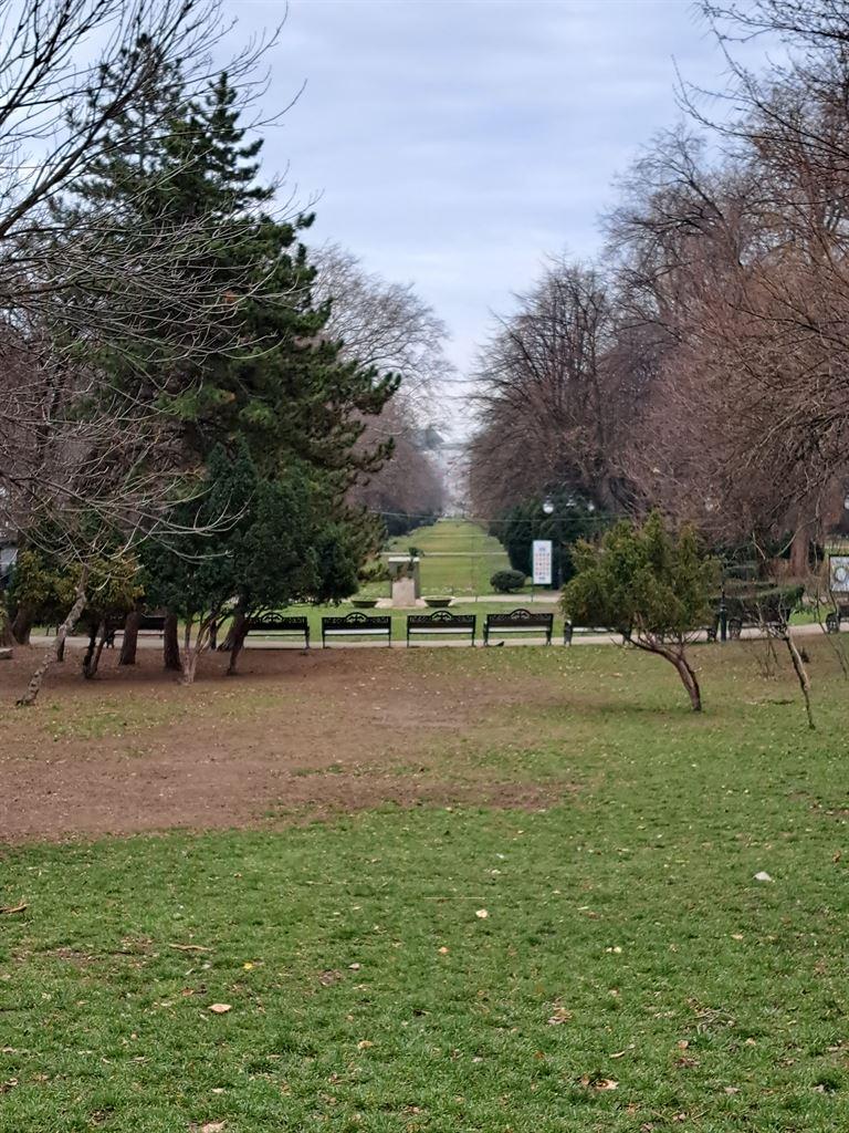 lawns