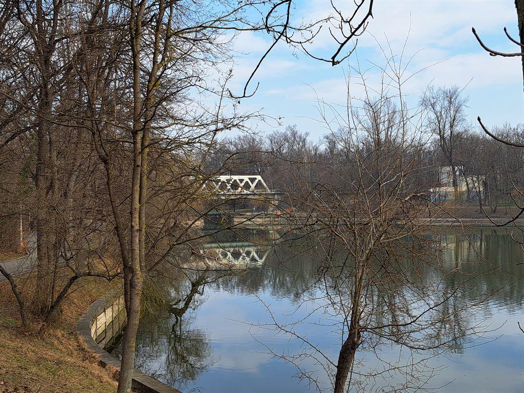 bridge