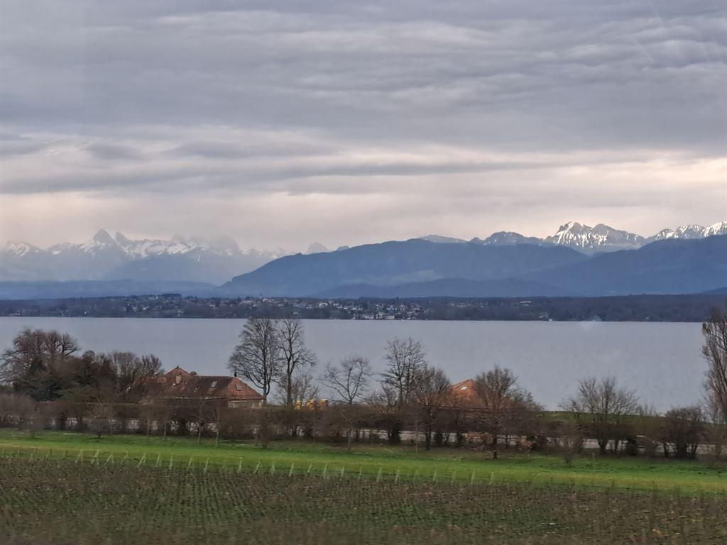 leman2