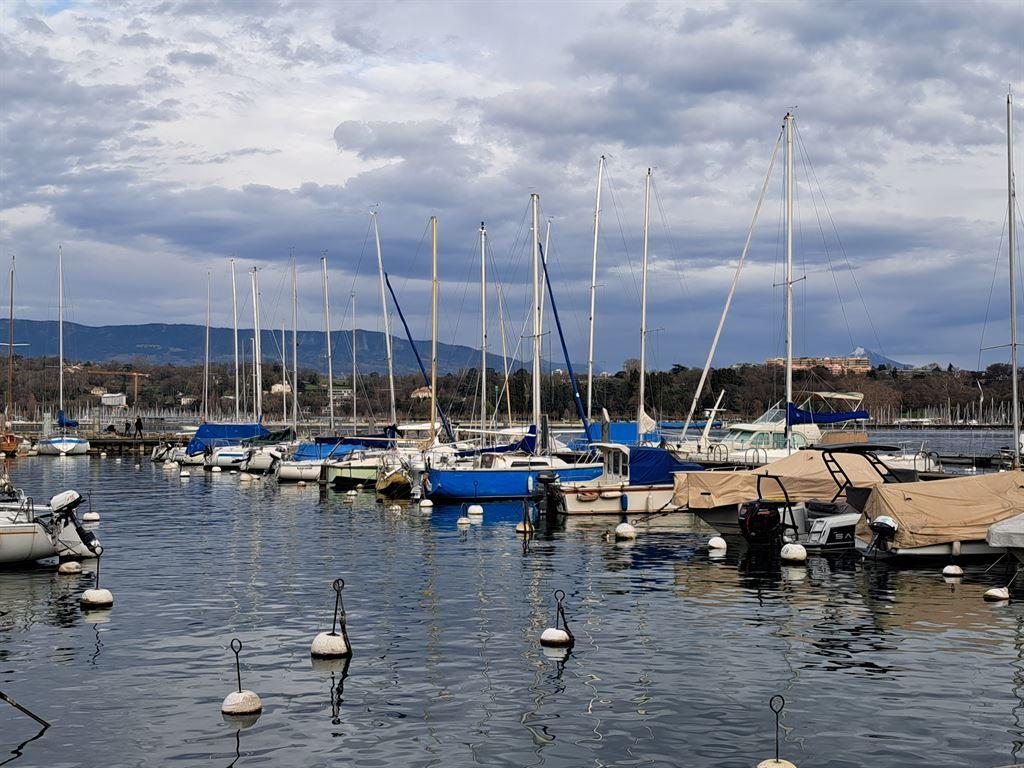 marina