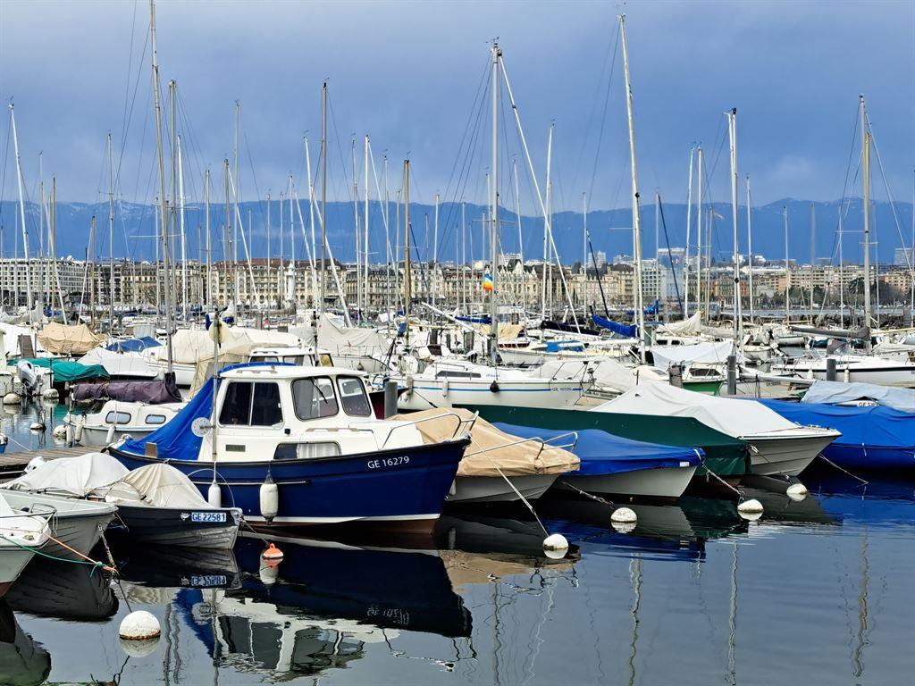marina