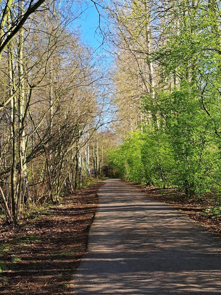 railtrail2