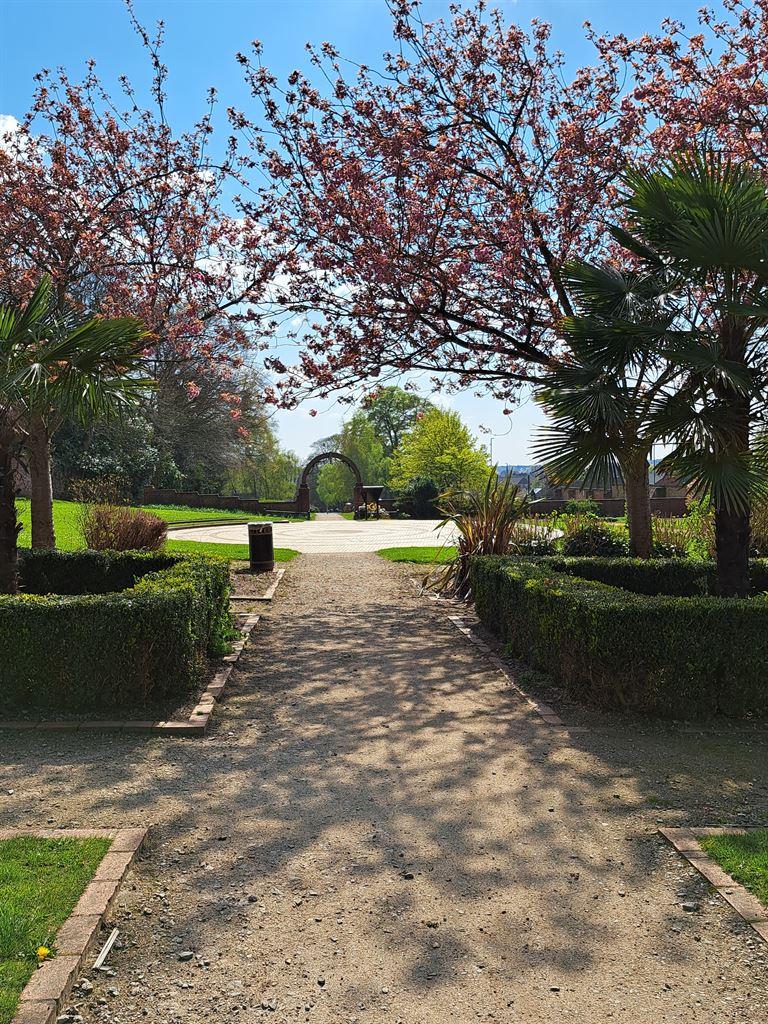 garden