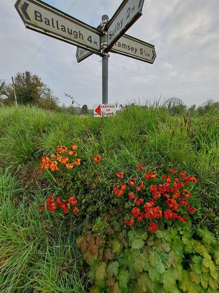 signpost