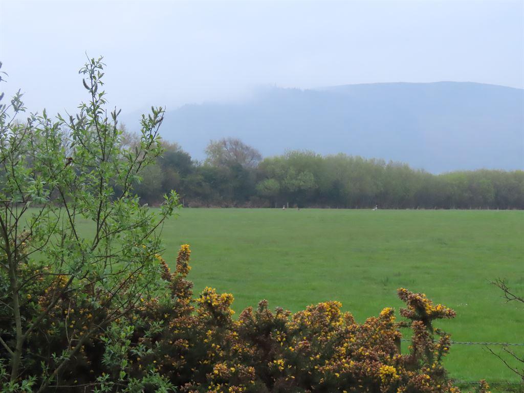 viewfromroad