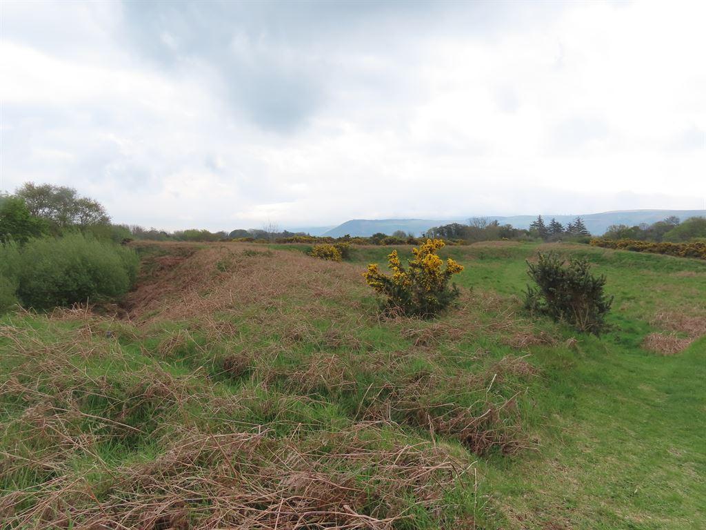 fort2