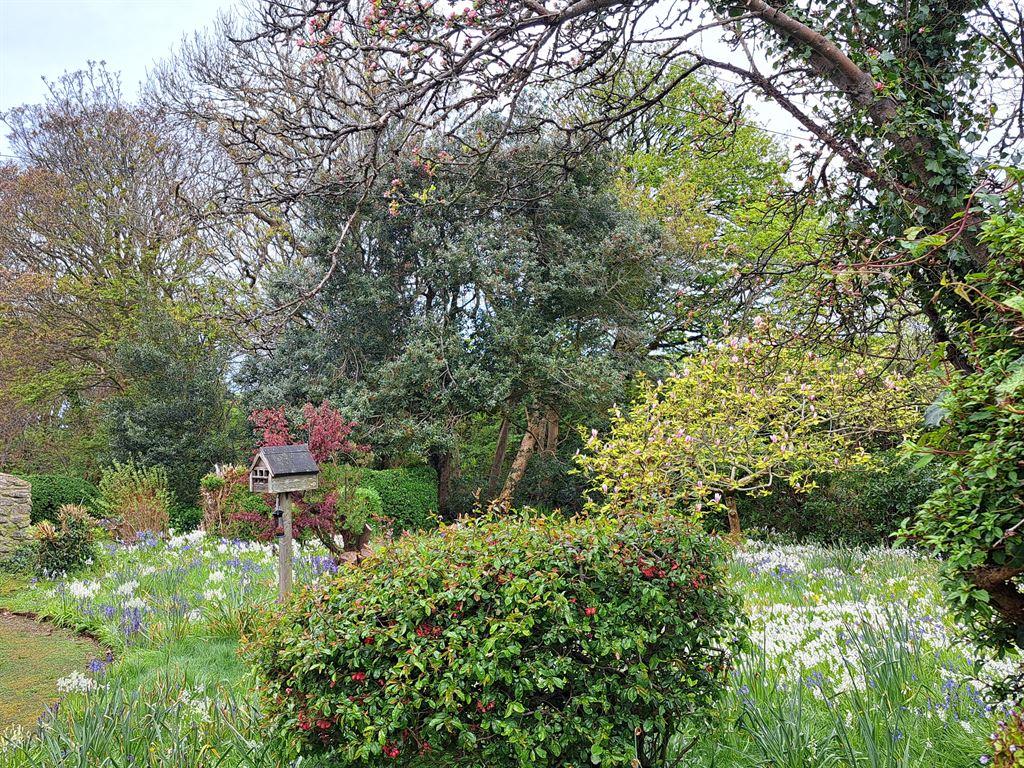 whitebells1