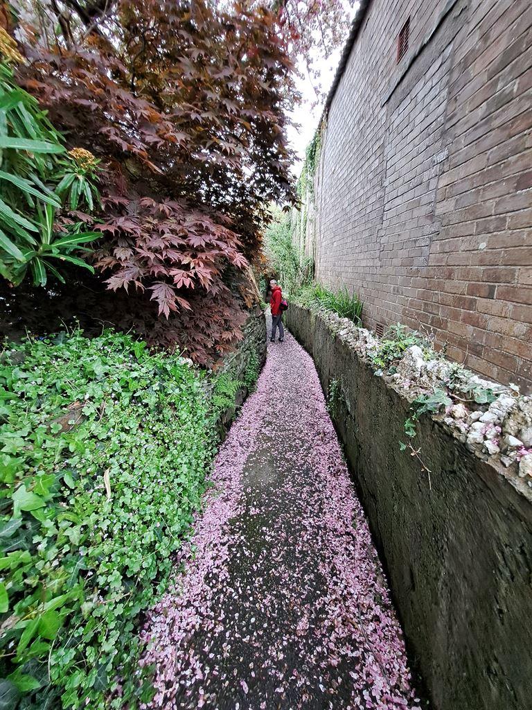 path2